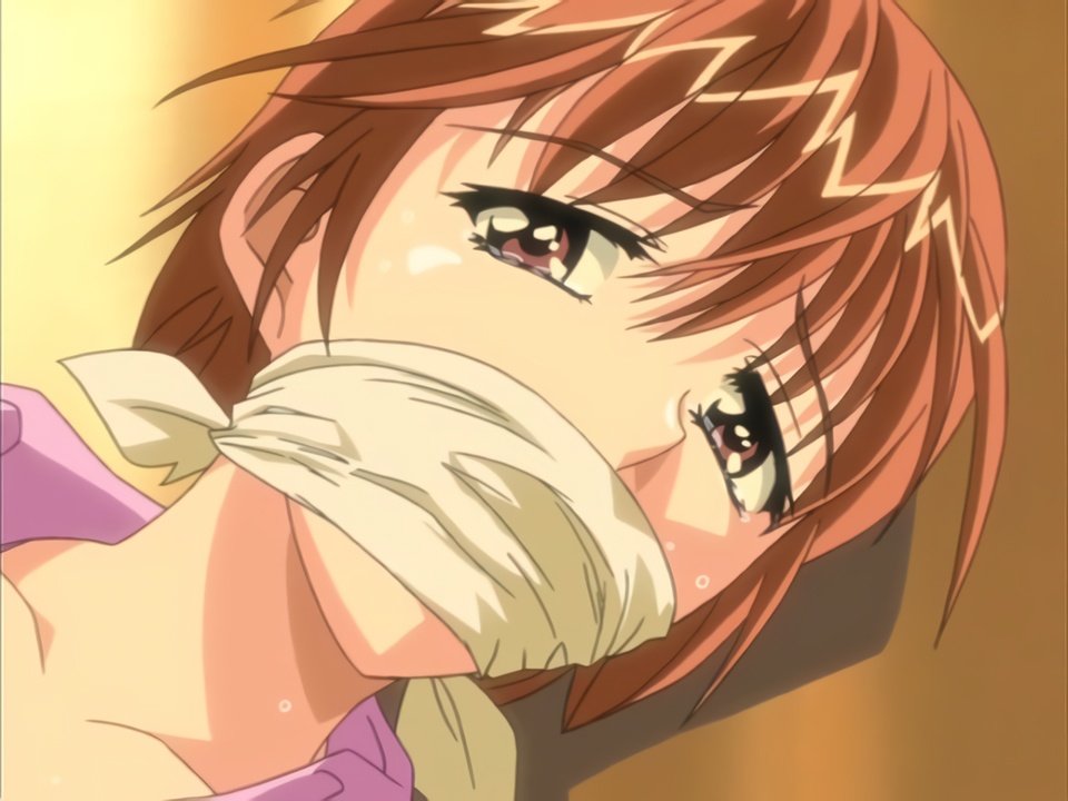 Onna Kyoushi Nijuusan Sai